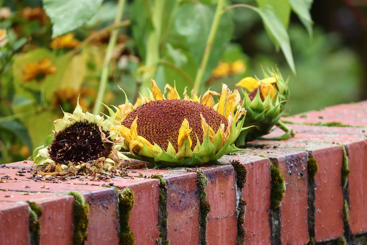 Top 10 Foods To Avoid While Recovering From A Sprained Foot