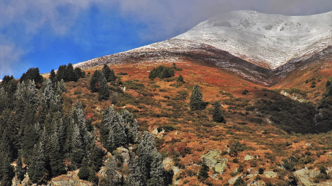 When To Resume Normal Activities After A Sprained Foot