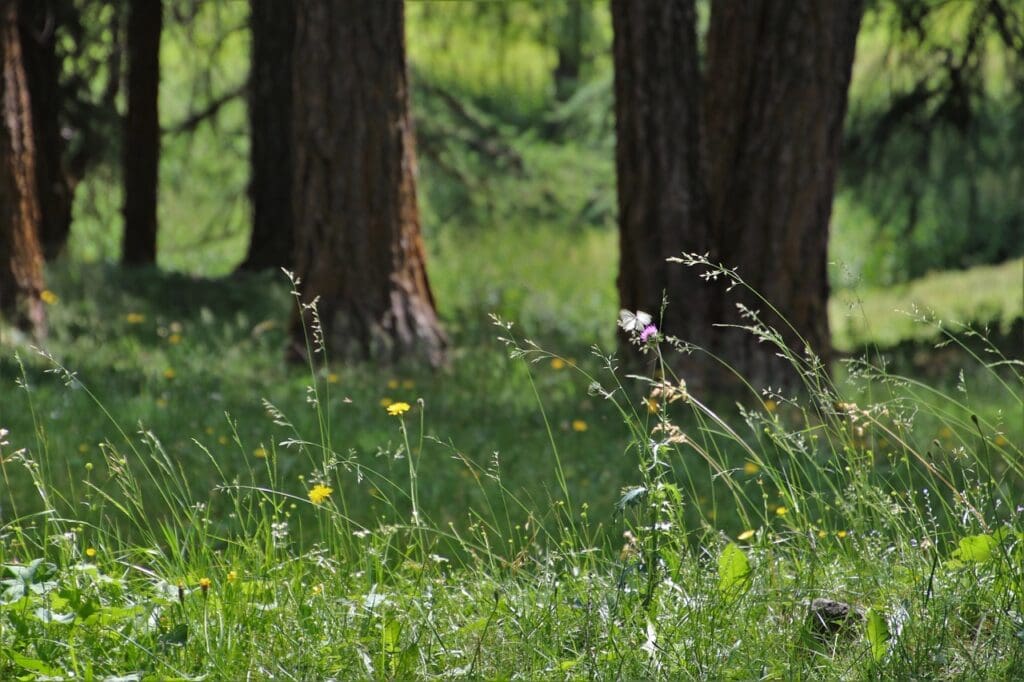 Celebrating Progress And Milestones During A Sprained Foot Recovery Celebrating Progress And Milestones During A Sprained Foot Recovery