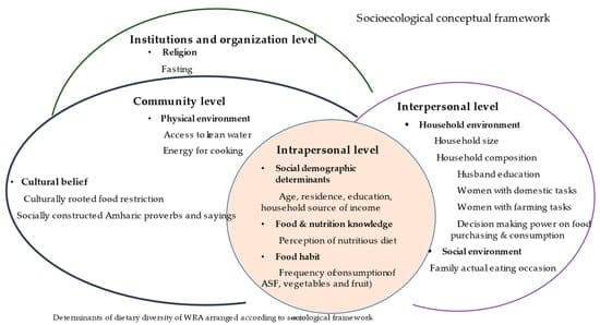 The Influence Of Social And Cultural Factors On Dietary Habits During Foot Injury Recovery The Influence Of Social And Cultural Factors On Dietary Habits During Foot Injury Recovery