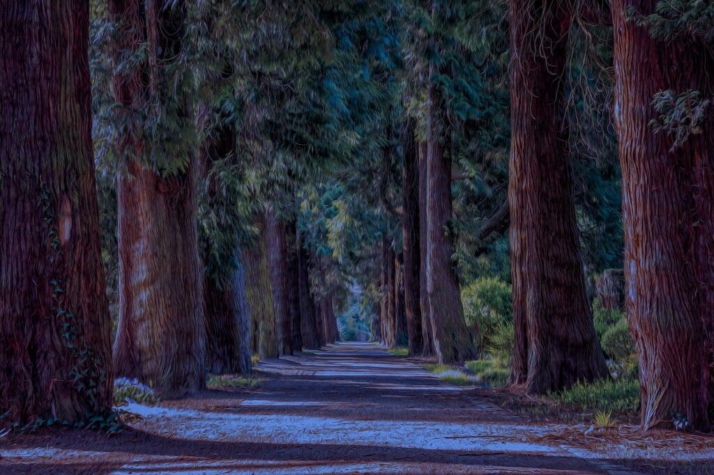 Returning To Exercise After A Sprained Foot