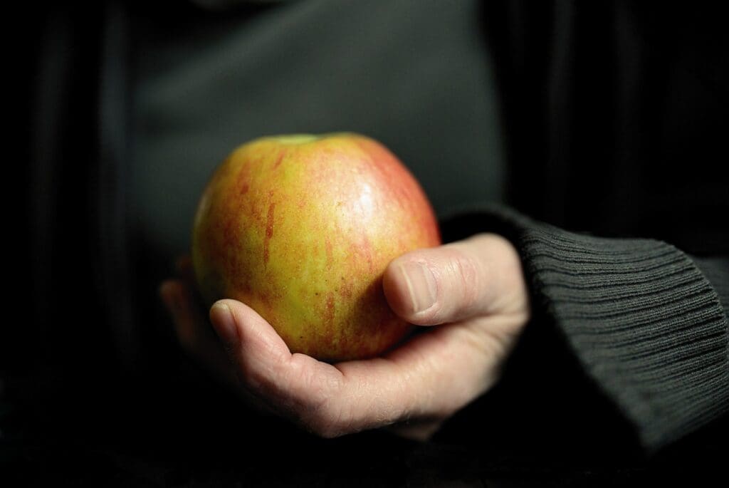 Creating A Balanced Diet Plan For Sprained Foot Rehabilitation